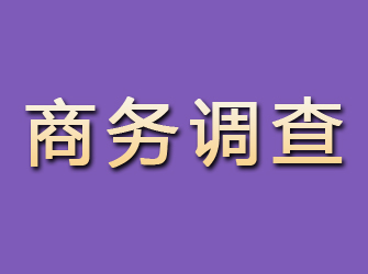 江川商务调查